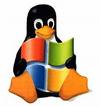 linux and windows hosting
